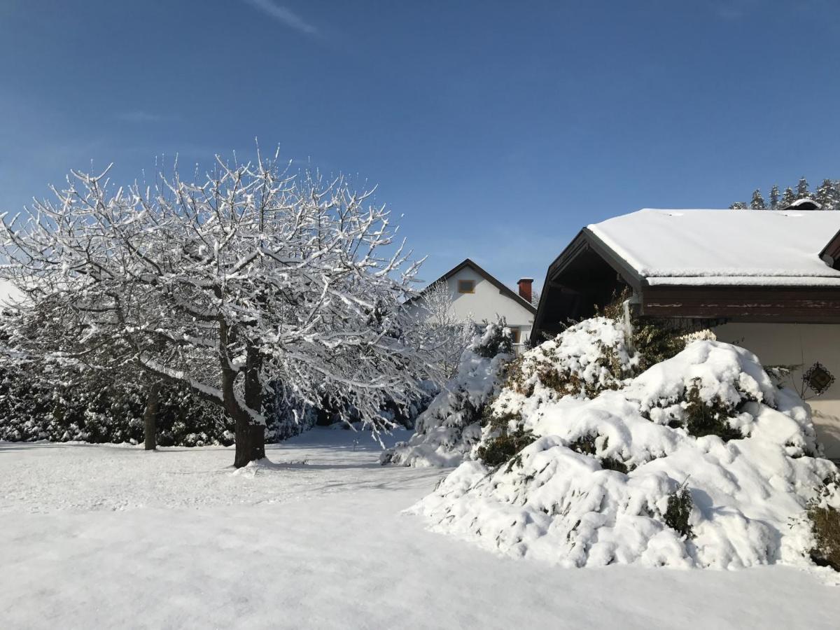 Willa V Gemuetliches Gartenhaus Smihel nad Pliberkom Zewnętrze zdjęcie